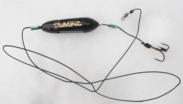 Black Cat - img16630953800633.jpeg